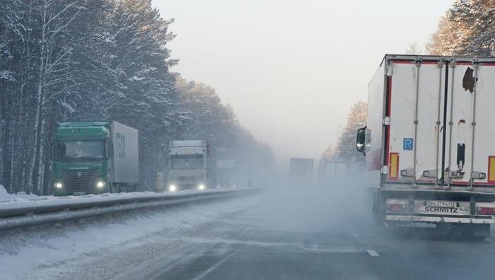 Обложка © ТАСС / Александр Кондратюк
