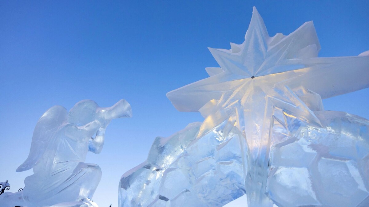    Фото: Федор Воронов/«Ямал-Медиа»