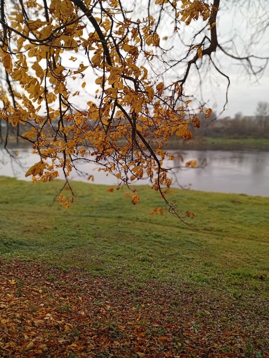 Фото автора, ноябрь 2025. Полоцк, Западная Двина