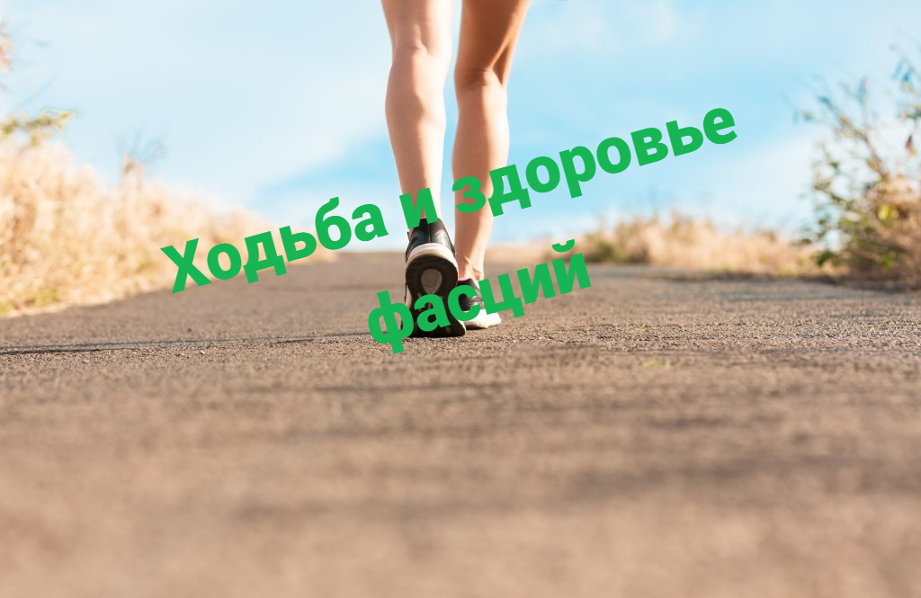 Фото из сети