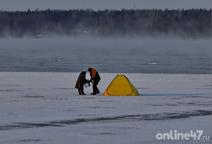 фото: Валентин Илюшин/Online47