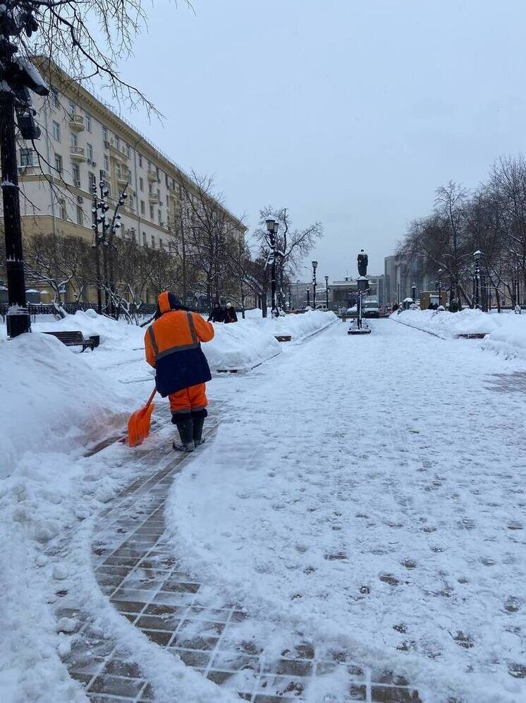   Елена Полякова