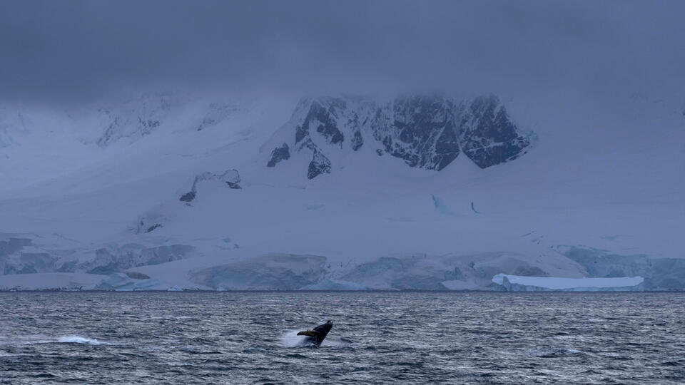     Станция "Восток" зафиксировала самую низкую температуру на планете David Keyton/AP/TASS