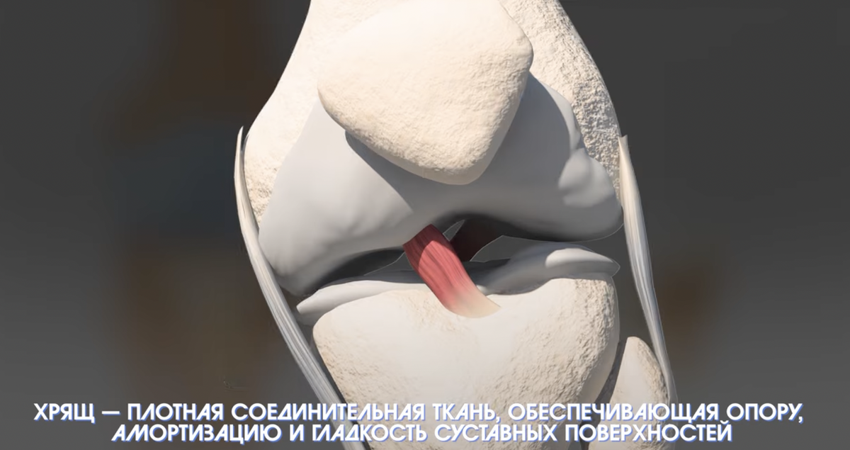 Ещё больше пользы и возможности для общения в моём телеграм-канале: https://t.me/dr_korolishin