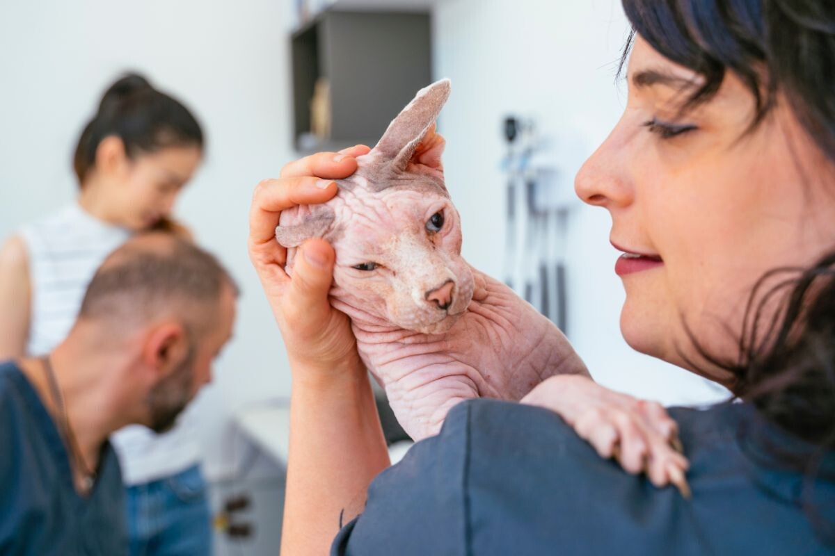 На приёме у врача 