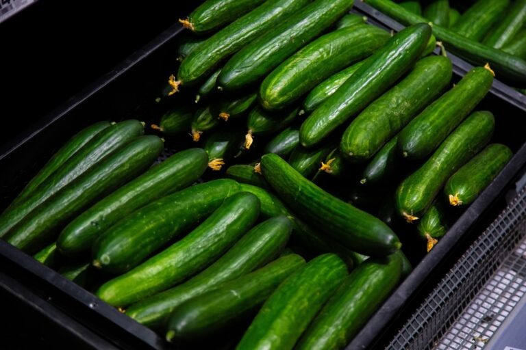    Фото: Общественная Служба Новостей Алексей Иванов