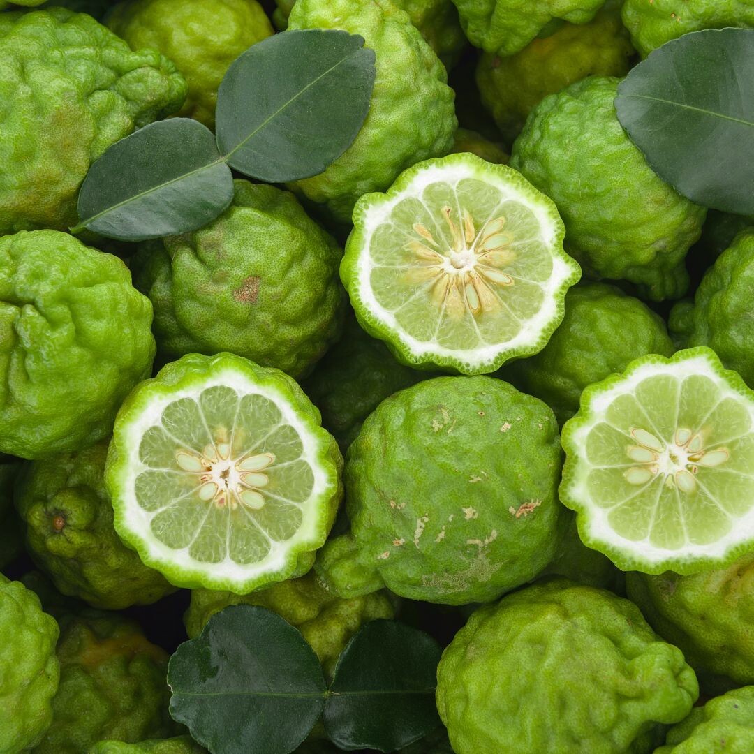 Плоды бергамота собирают с  октября по февраль: в этот период они  постепенно меняют цвет с ярко‑зелёного на солнечно‑жёлтый. Под их грубой кожурой скрывается масло с поразительным диапазоном нот: в октябре — искрящаяся свежесть и почти цветочные оттенки; к февралю — более перечные, пикантные и травянистые нюансы. 