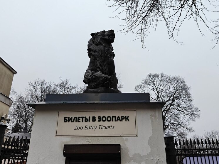     Фото: архив «МК в Калининграде».