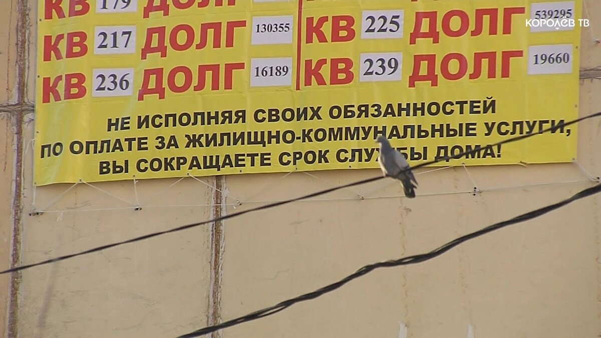    Фото: открытый источник