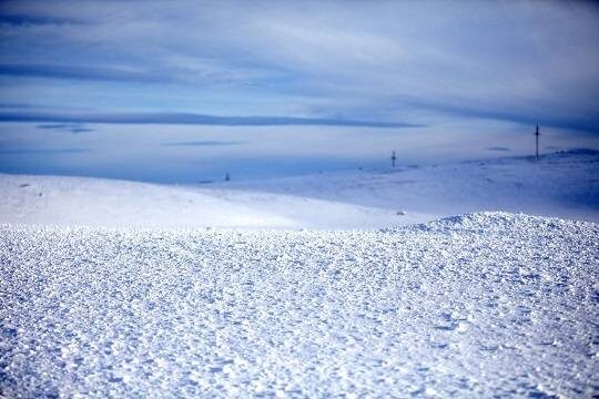    Метель заблокировала десятки машин с туристами на трассе в Мурманской области недалеко от Териберки (фото: Flickr/Konstantin Zamkov)