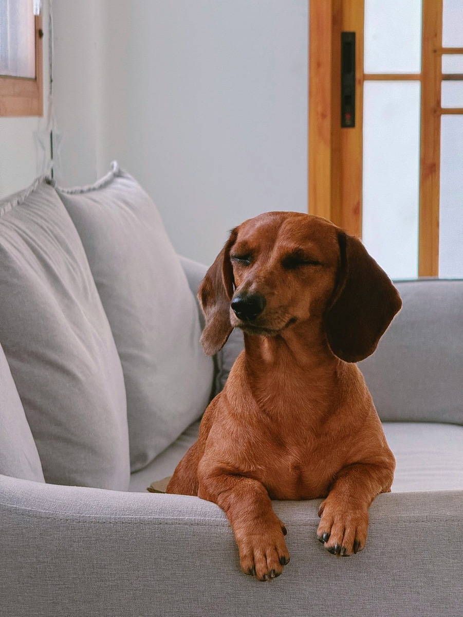    Фото несет иллюстративный характер