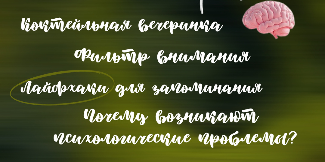 Ваш мозг — это биокомпьютер: почему мы «тормозим» и как это исправить