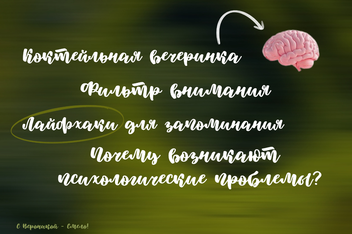 Что вас ждет?