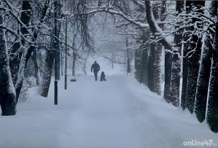 фото: Валентин Илюшин/Online47