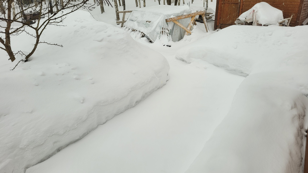 Снег начинает засыпать дорожки.