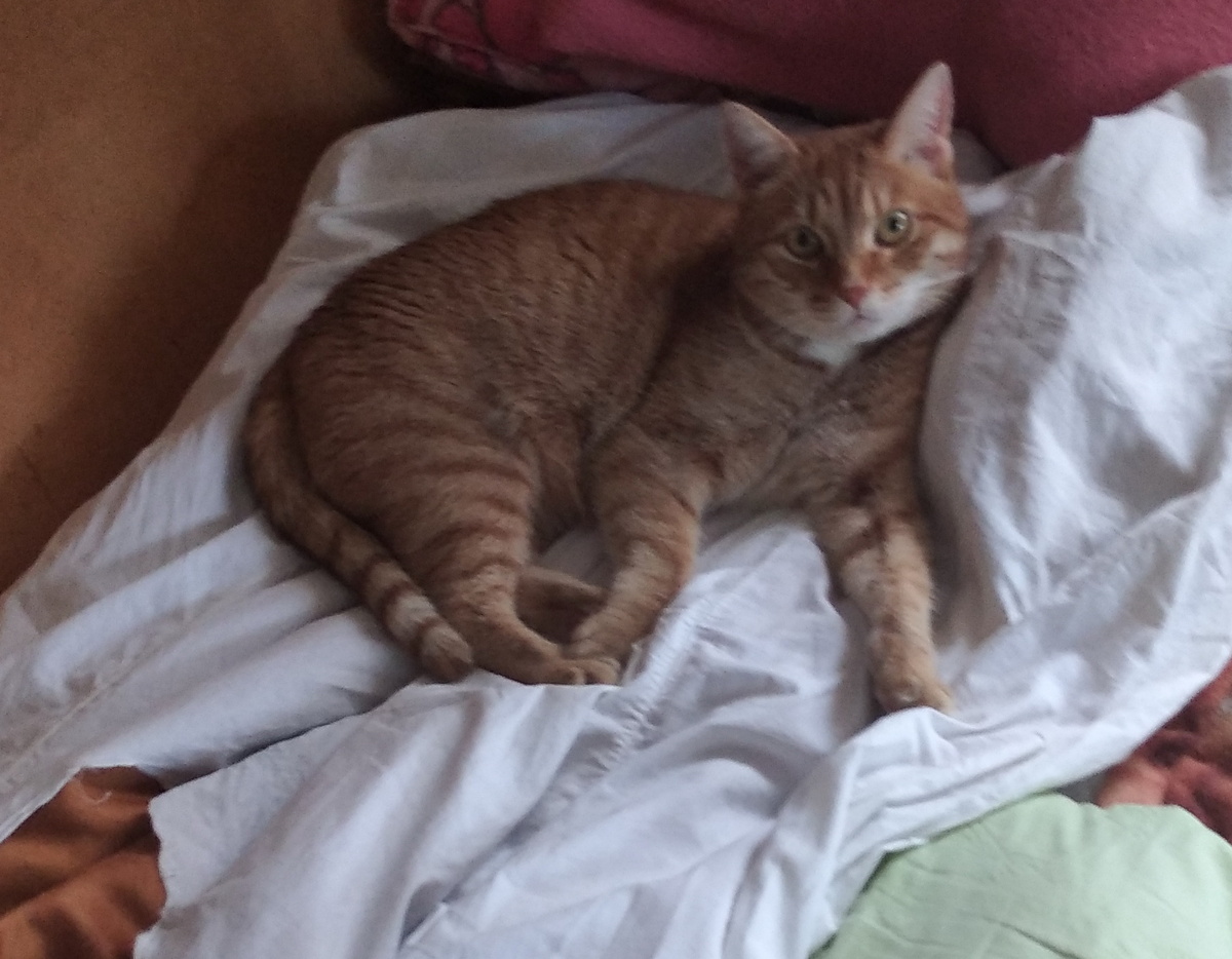 личное   фото