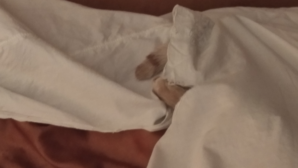 личное   фото