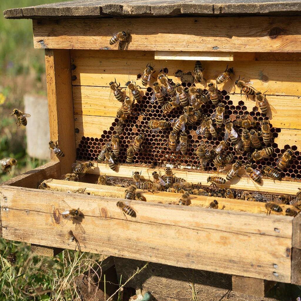 Изображение сгенерировано сервисом GigaChat 