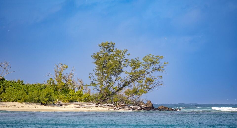    Hauke Pflueger / www.globallookpress.com