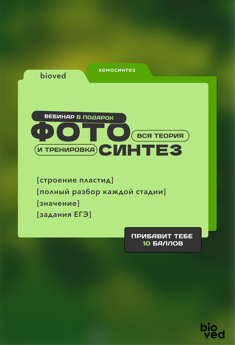 Методичка "Фотосинтез" от биовед