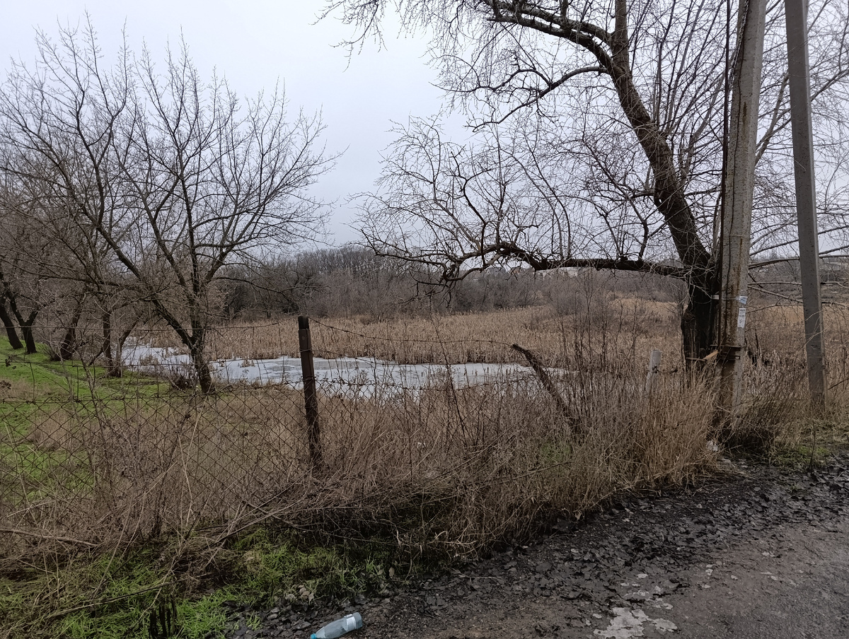 Один из притоков пруда Кирша.