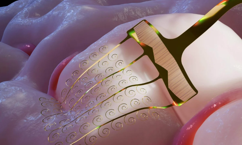 Фото с сайта издания South China Morning Post