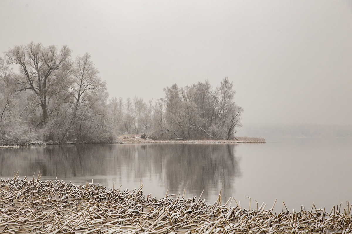 Учинское водохранилище
