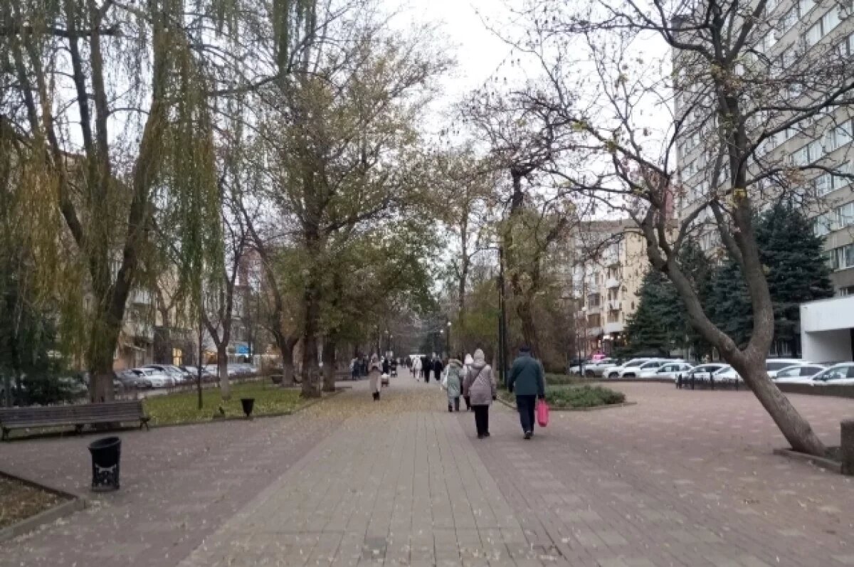    В Ростове 16 февраля будет тепло и выглянет солнце