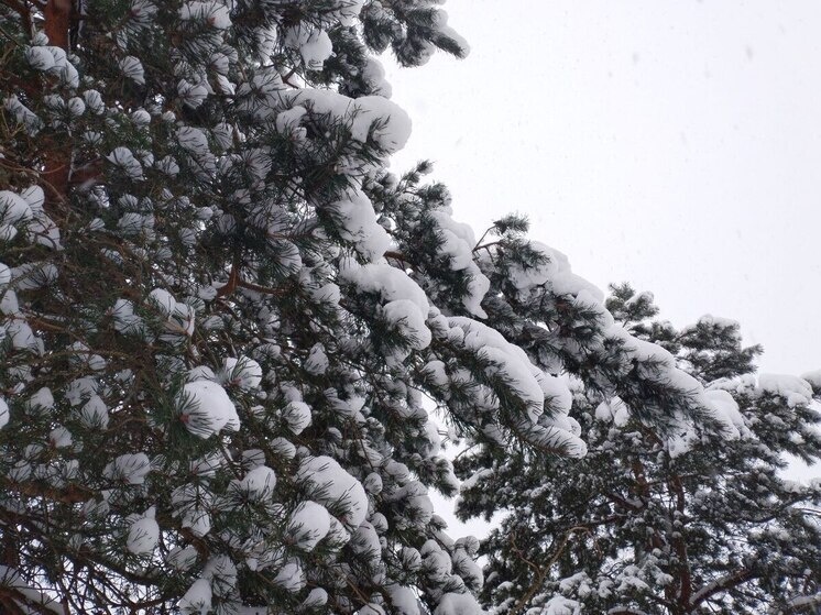     Фото: архив «МК в Калининграде».