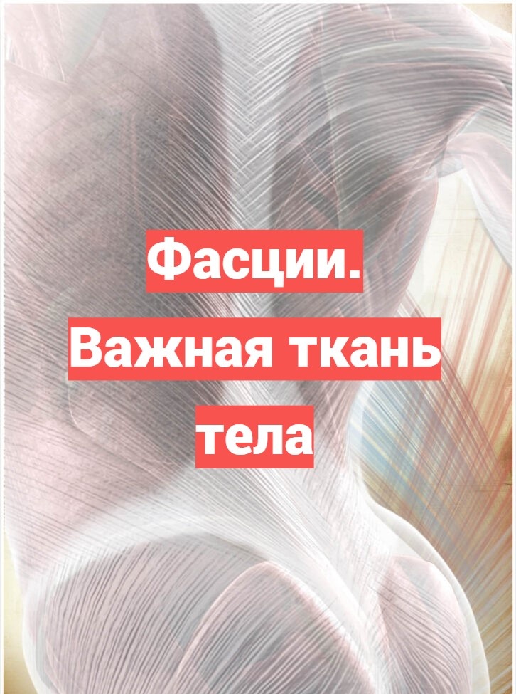 Фото из сети