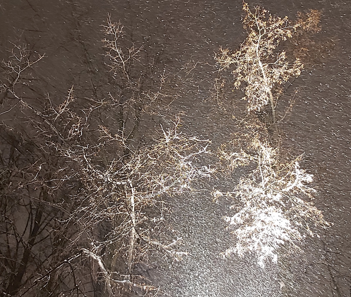 Красота снежного вечера