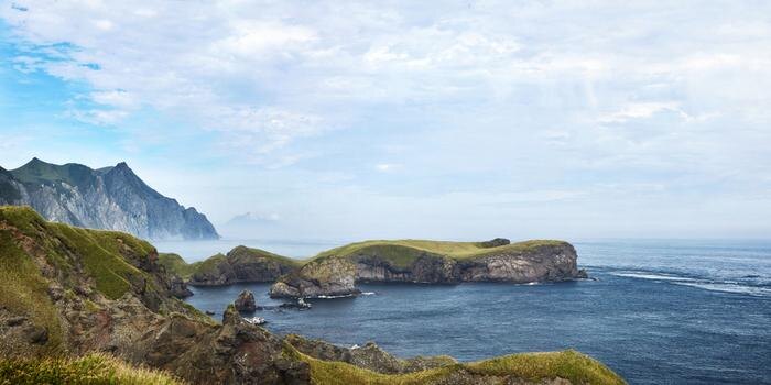 Обложка © Shutterstock / FOTODOM / Liudmila Kotvitckaia