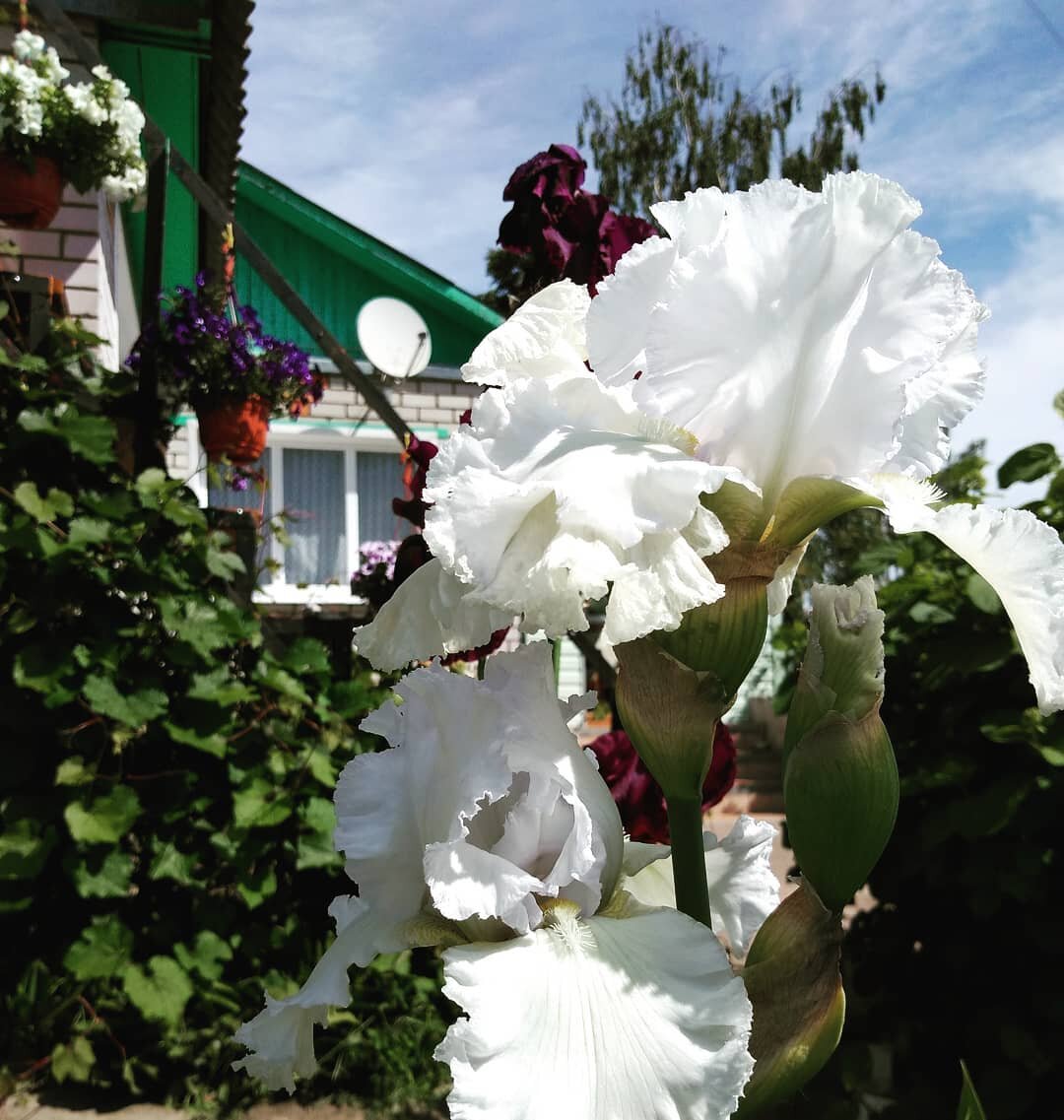 Хочется уже ярких фотографий. Зима наскучила. 