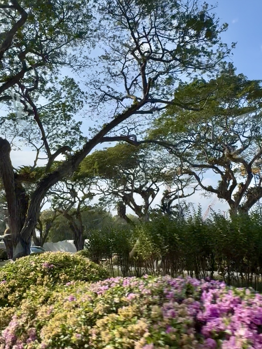 снято из окна такси