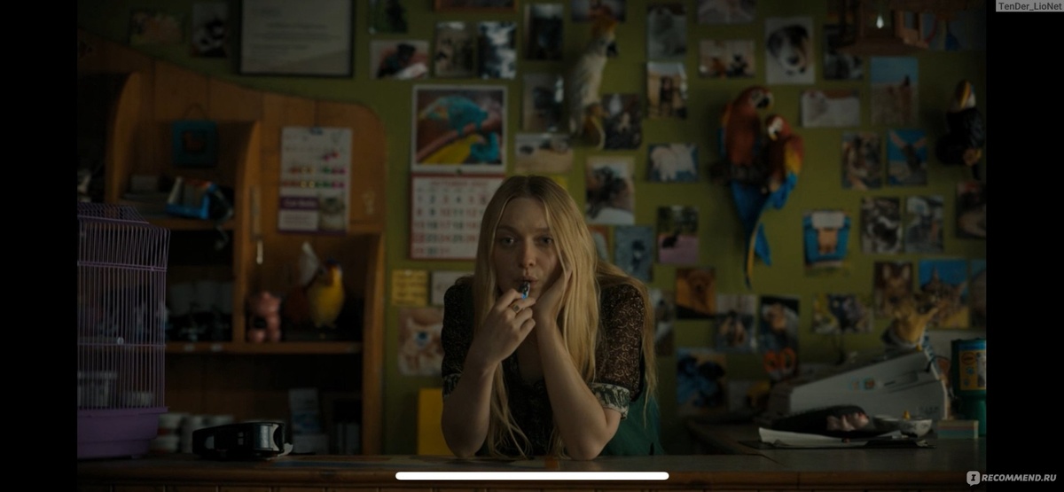 все изображения из открытых источников