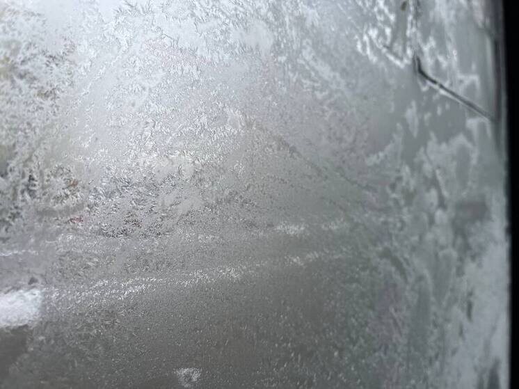     Фото: архив «МК в Калининграде».