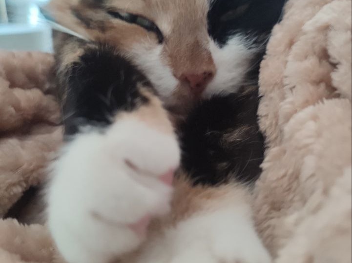 Вот заметила уже какой раз напишу что-нибудь, а потом в официальных новостях начинают эту тему обсуждать