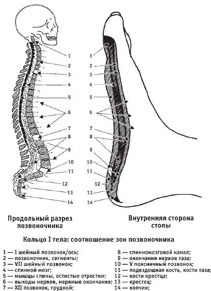 Фото: Pinterest.com