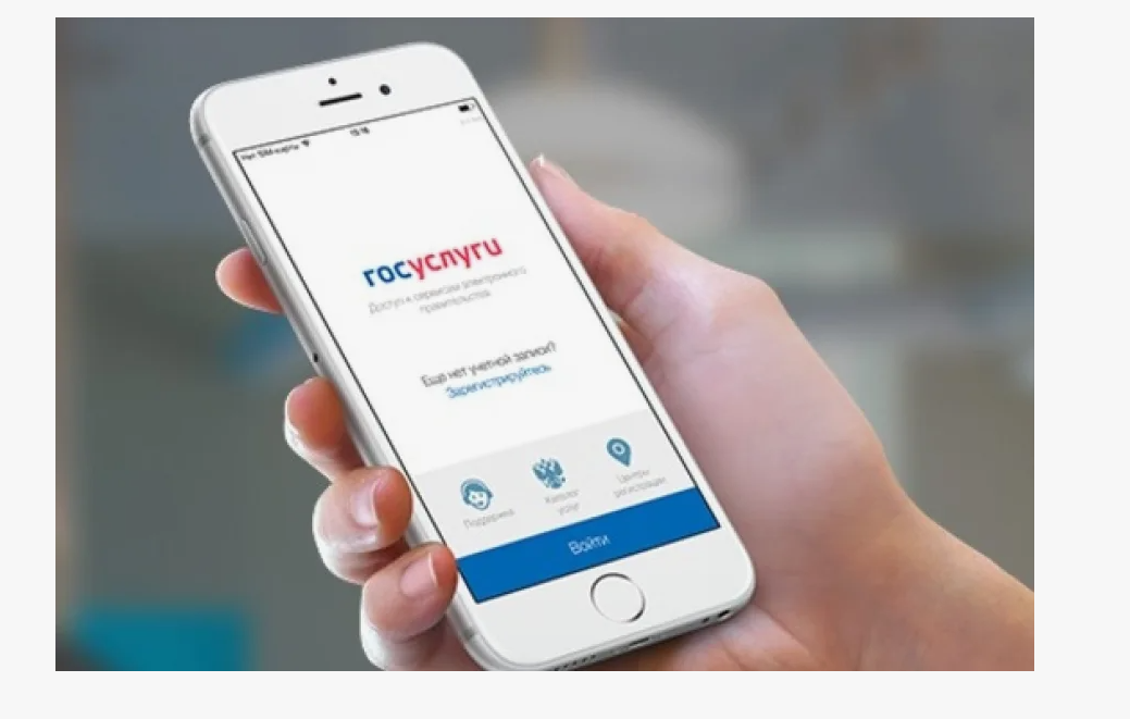 фото из открытых источников