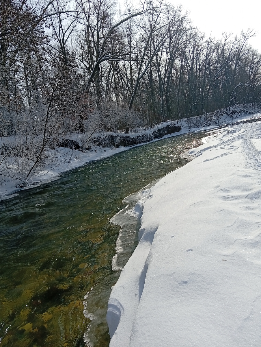 Река Тускарь возле Курска