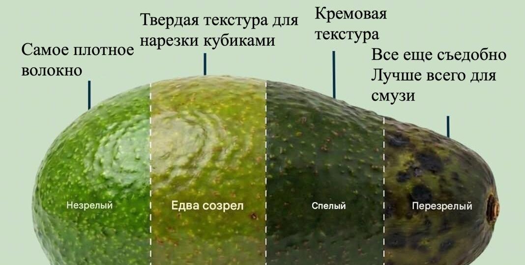 🥑 Стадии спелости авокадо: какая из них самая полезная для вас?