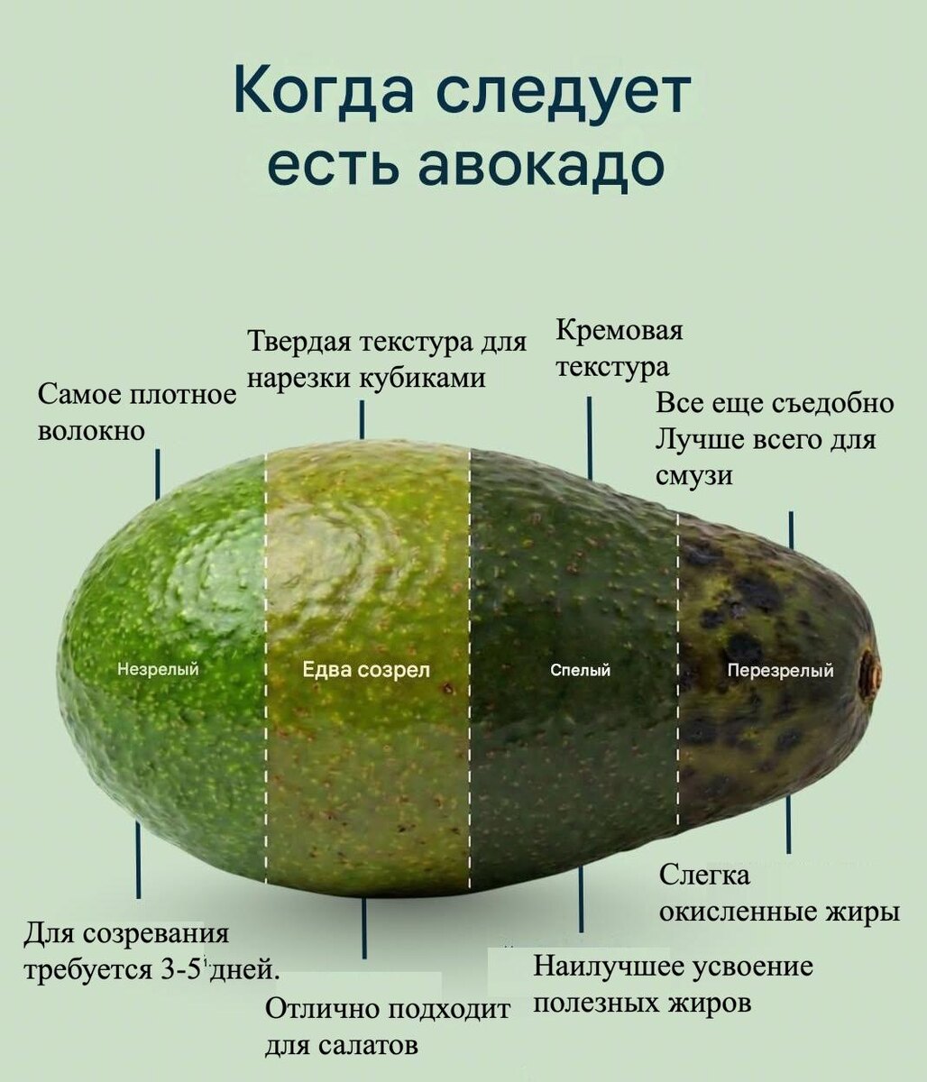 Фото с ТК ,,Типичный повар,,