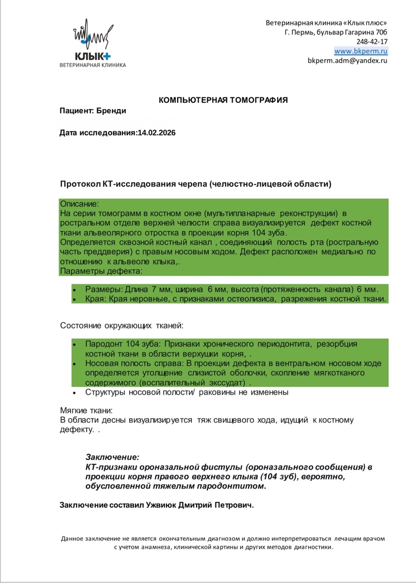 Заключение 