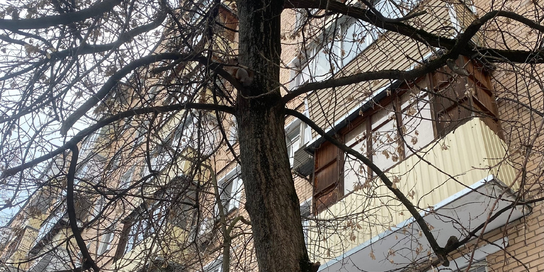 Обман с арендой квартир в Москве: еще один наш горький опыт