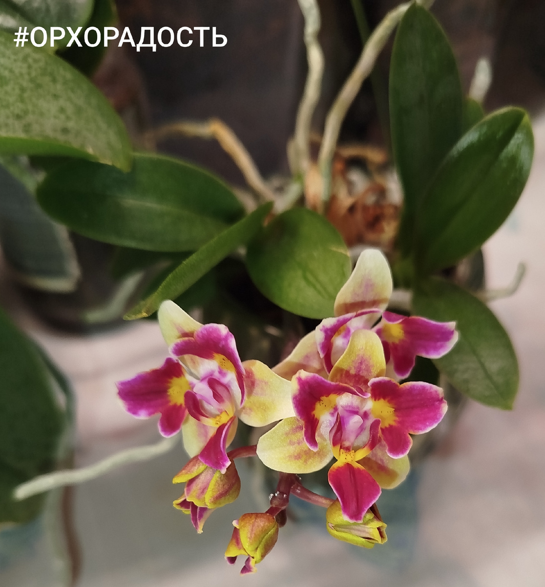 19 февраля 2026