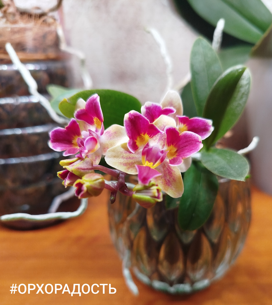 18 февраля 2026.