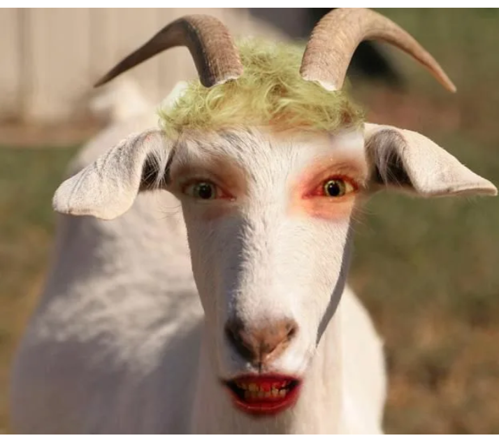 Картинка из интернета