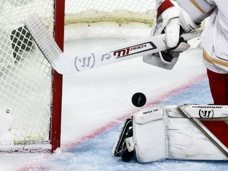     На 29-й минуте счет открыл нападающий ЦСКА Павел Карнаухов. Фото: МК в Питере / Дарья Иванова