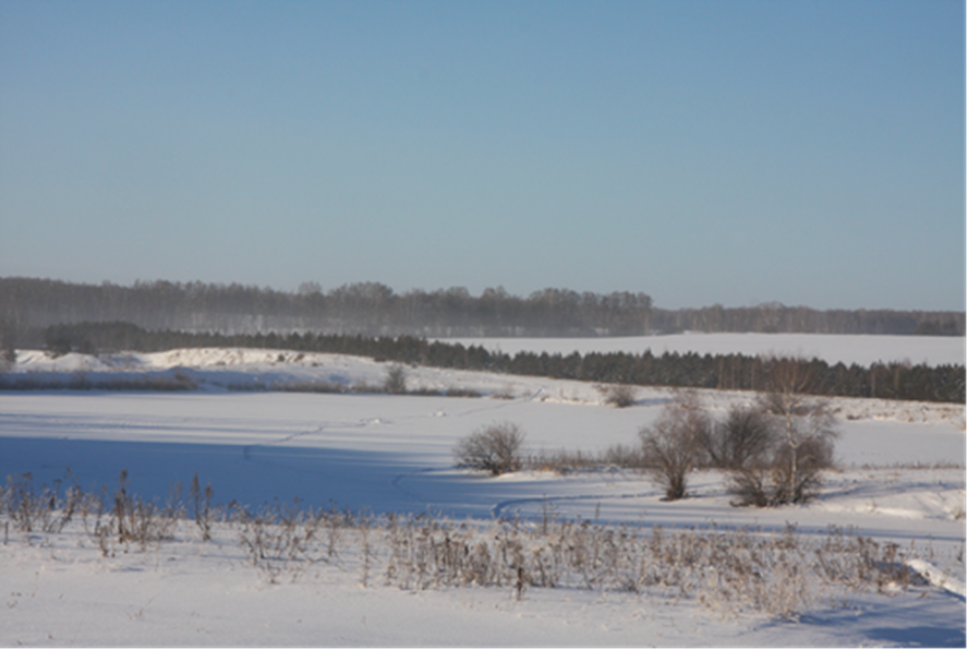 Фотография С.П. Якуцени ©