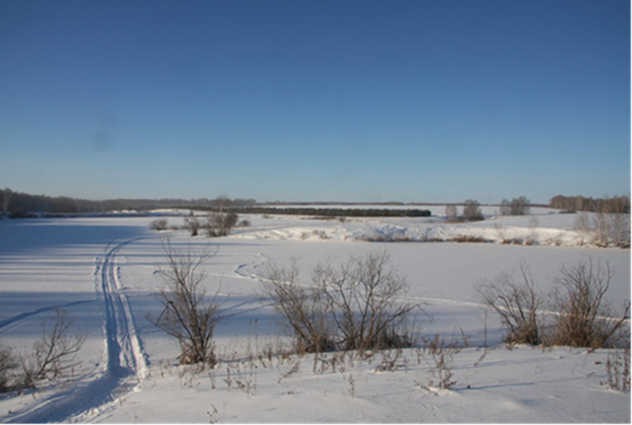 Фотография С.П. Якуцени ©